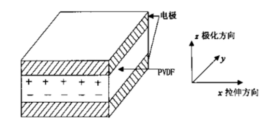  PVDF壓電薄膜示意圖